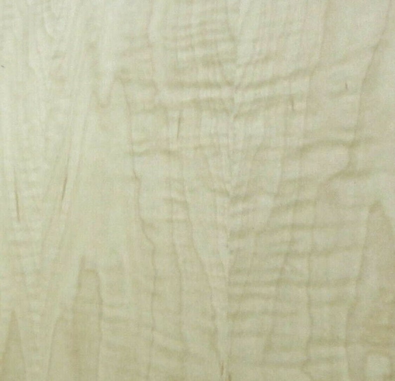 Curly Figured Tiger Maple wood veneer 24 x 48 with Etsy