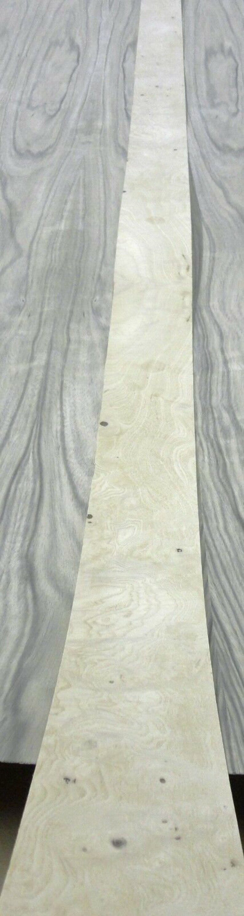 Ash wood grain picture