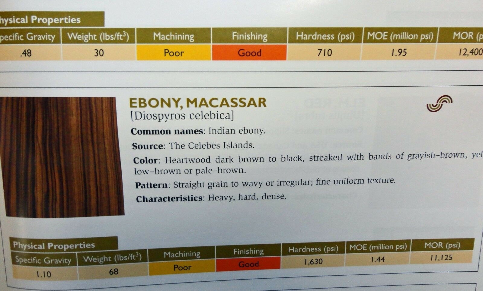 Wood Veneer Sample Book 100 Species 5 X 8 Size Etsy UK