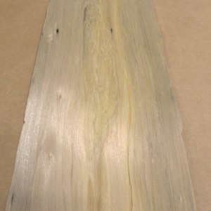 Cypress Sinker wood veneer sheet 8&quot; x 37&quot; raw no backing 1/42&quot; thickness