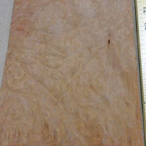 Madrone Burl wood veneer 5&quot;-6&quot; x 8&quot;-9&quot; raw 1/42&quot; thickness no backing &quot;AA&quot; grade