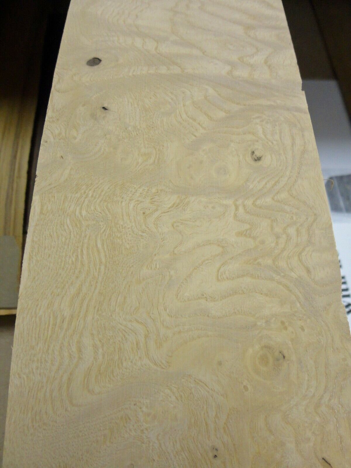 White ash essay 07 picture