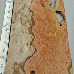 Pimento Pepperwood Burl wood veneer 7&quot; x 18&quot; raw no backing 1/42&quot; thickness A