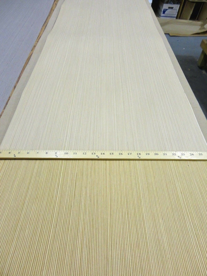 Plywood Edge Apple Ply Baltic Birch Composite Wood Veneer Etsy