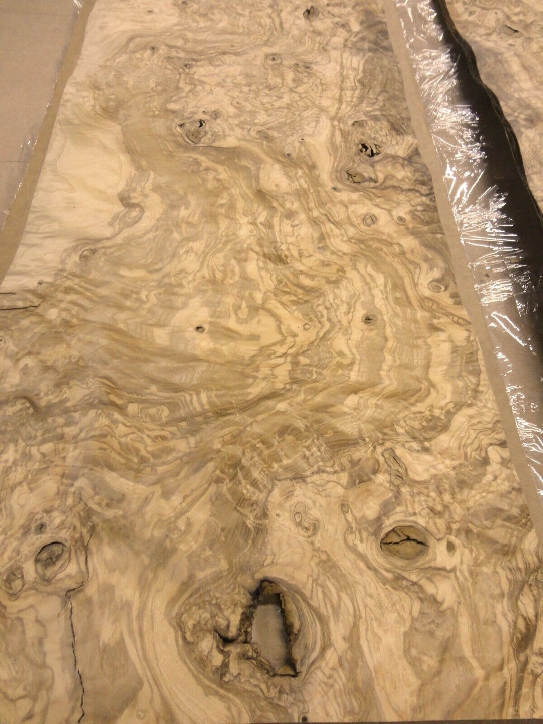 Olive Ash Burl Wood Veneer 11" X 33" With No Backing Raw Veneer 1/42 ...