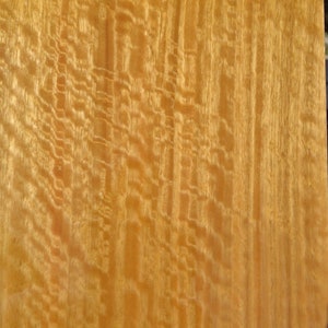 Placage de bois d&#39;eucalyptus australien 20 x 31 po. sans support (placage brut)