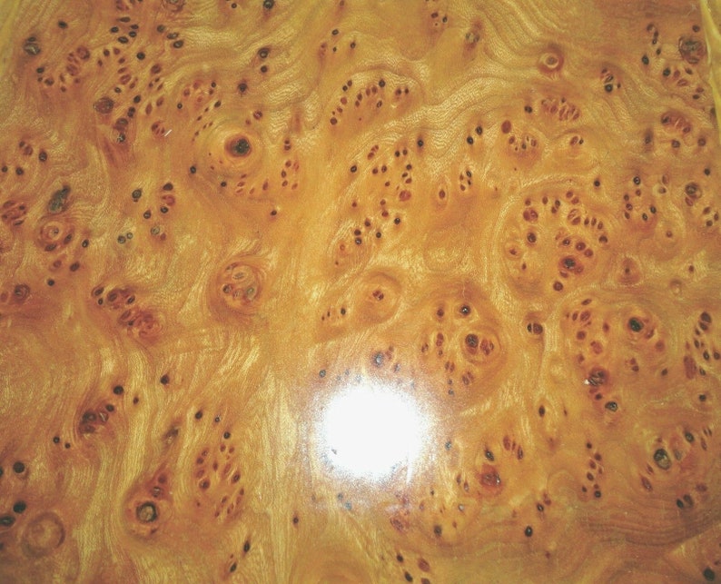 Elm Burl Carpathian Wood Veneer 10 X 13 Raw No Etsy