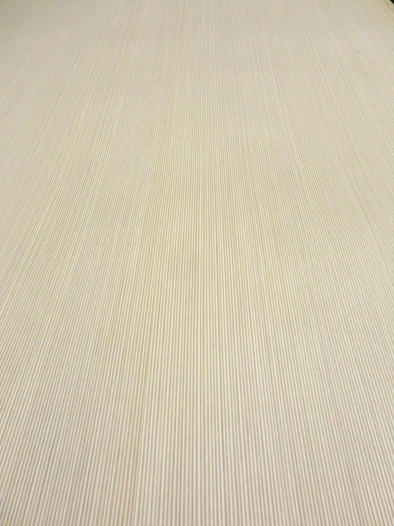 Plywood Edge Apple Ply Baltic Birch Composite Wood Veneer Etsy