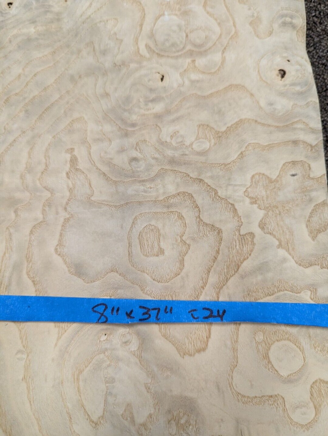 Ash White Burl Wood Veneer 8 X 16 Raw No Backing Etsy