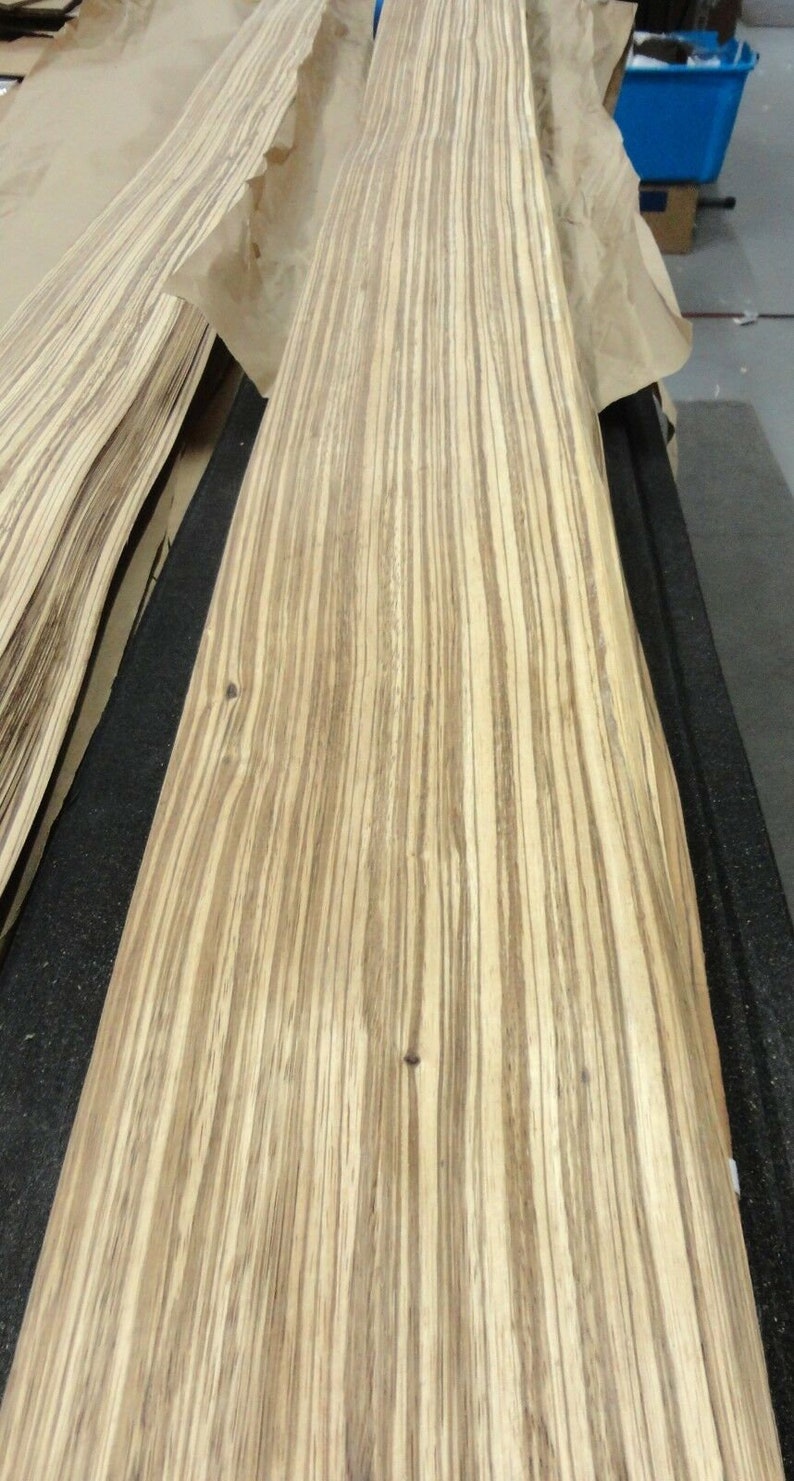 Zebrawood Wood Veneer 6 X 97 Raw No Backing - Etsy