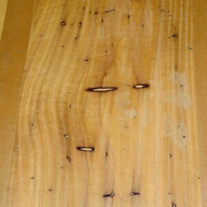 Wormy Chestnut wood veneer 11&quot; x 15&quot; raw no backing 1/32&quot; thickness &quot;A&quot; grade