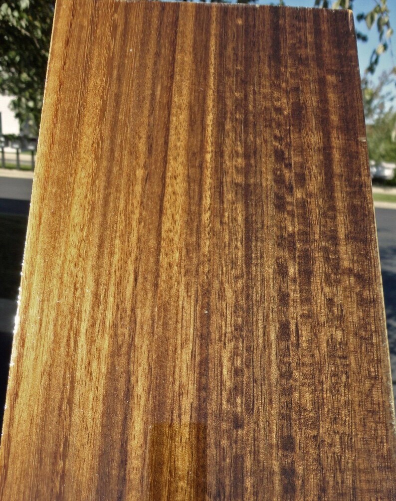 Smoked Fumed Eucalyptus Wood Veneer 6.5 X 30 Raw Etsy