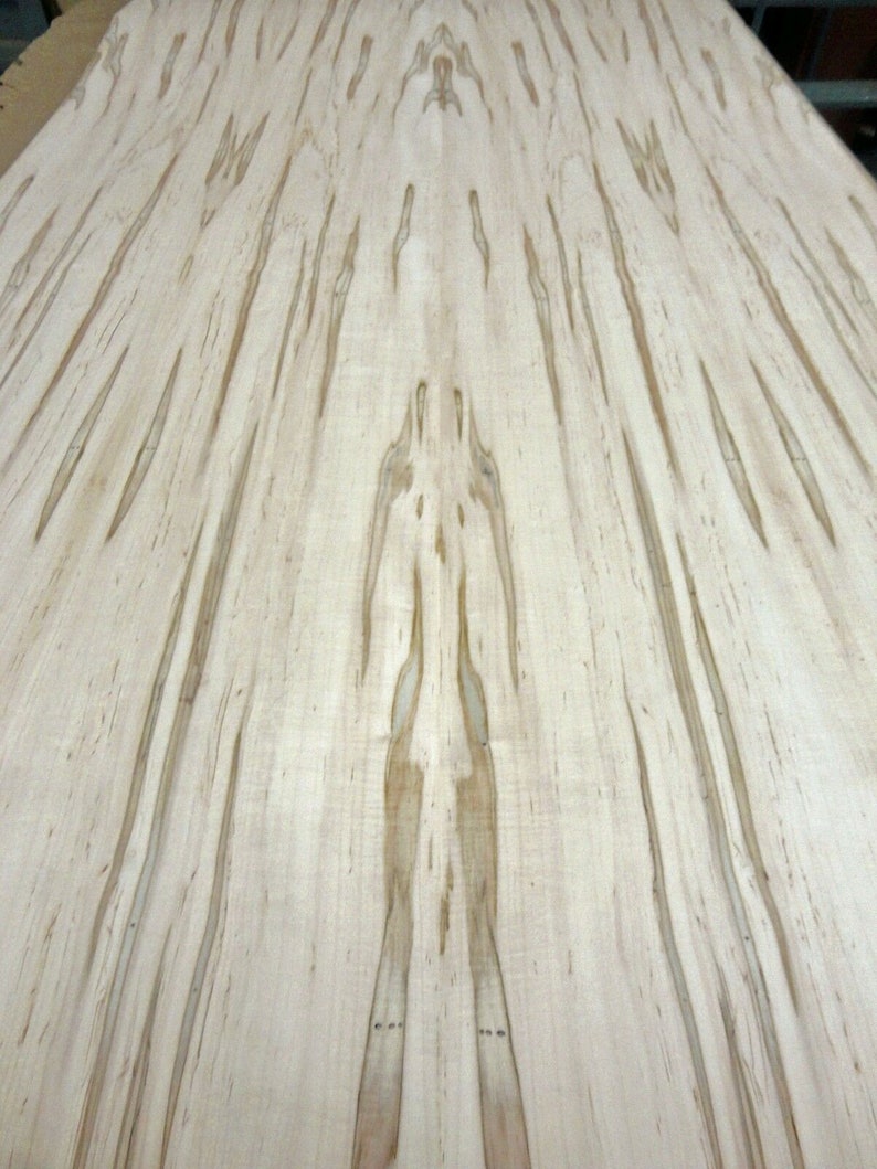 spalted ambrosia maple spalted ambrosia maple