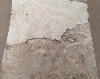 Olive Ash Burl wood veneer 11" x 18" with no backing raw veneer 1/42" thickness