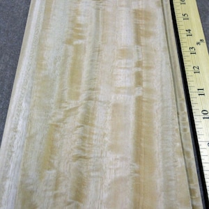 Chapa de madera de eucalipto australiano figurado de 5&quot; x 23&quot; sin reverso, 1/42&quot; de espesor