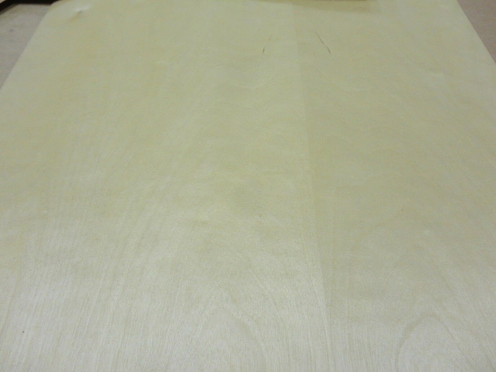 Yellow Birch Wood Veneer 24 X 24 With Paper Backer Etsy