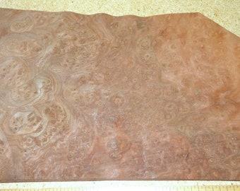 Carpathian Elm Burl wood veneer 7" x 12" raw no backing 1/42" thick AAA 151