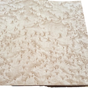 Lâmina de madeira figurada Birdseye Maple, 30,5 cm x 30,5 cm, sem suporte, 0,6 mm de espessura, AA