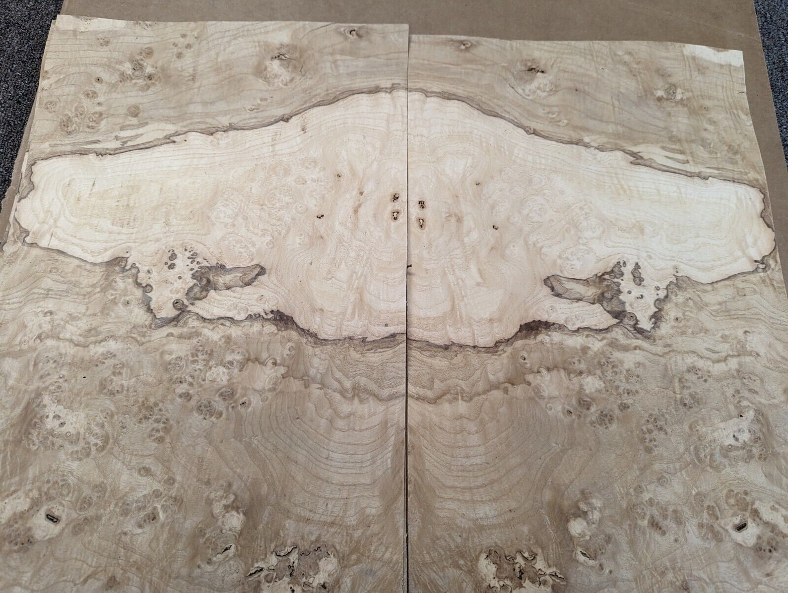 Olive Ash Burl Wood Veneer 11 X 18 With No Backing - Etsy