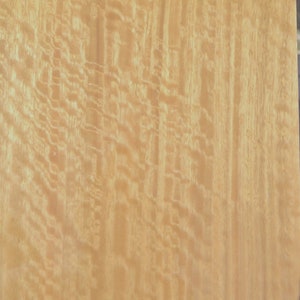 Chapa de madera de eucalipto australiano figurado de 6&quot; x 21&quot; sin reverso, 1/42&quot; de espesor