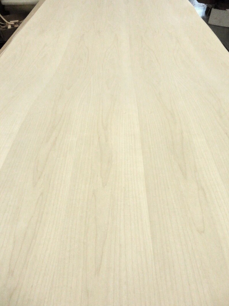 Maple wood veneer 48