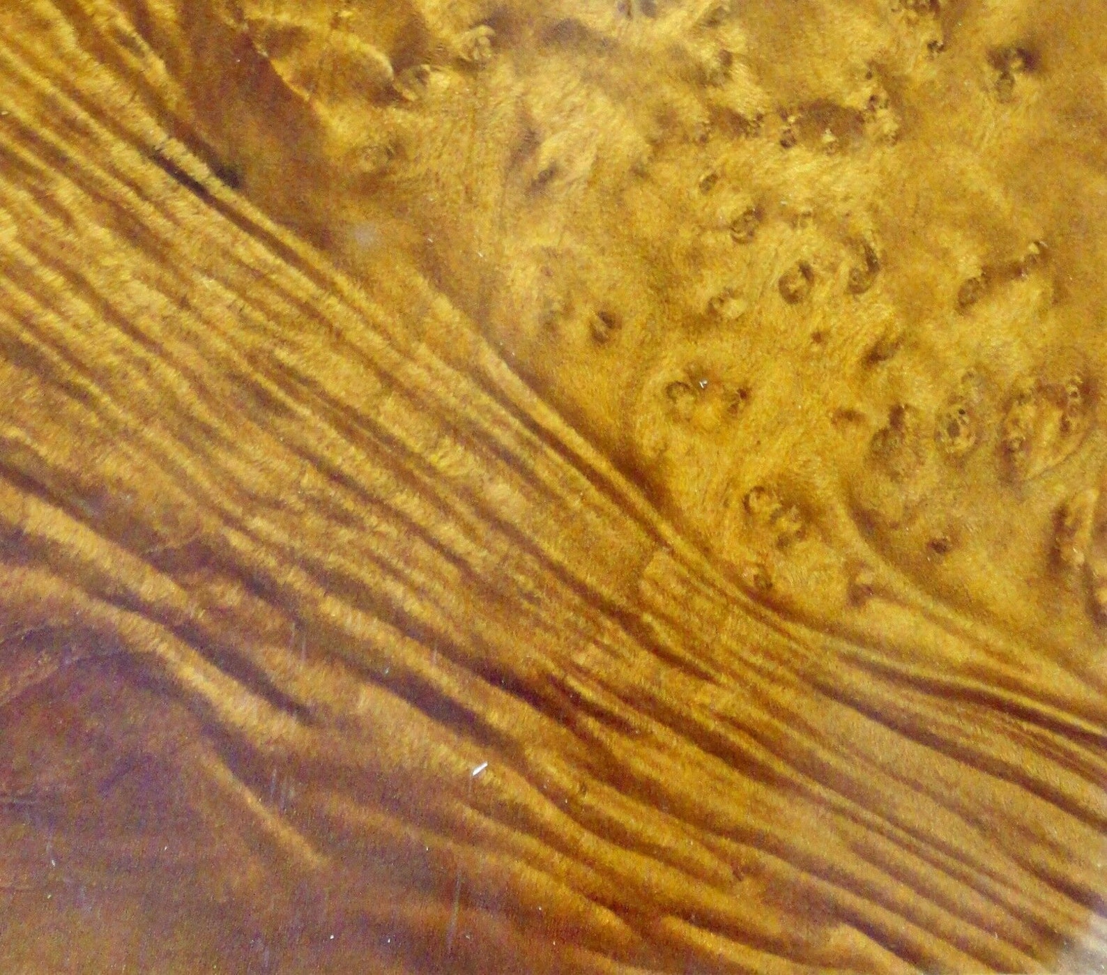 Madrone Burl Wood Veneer 7 X 7 With No Backing Etsy