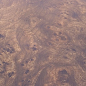 Carpathian Elm Burl wood veneer 9&quot; x 10&quot; with no backing raw veneer AAA grade