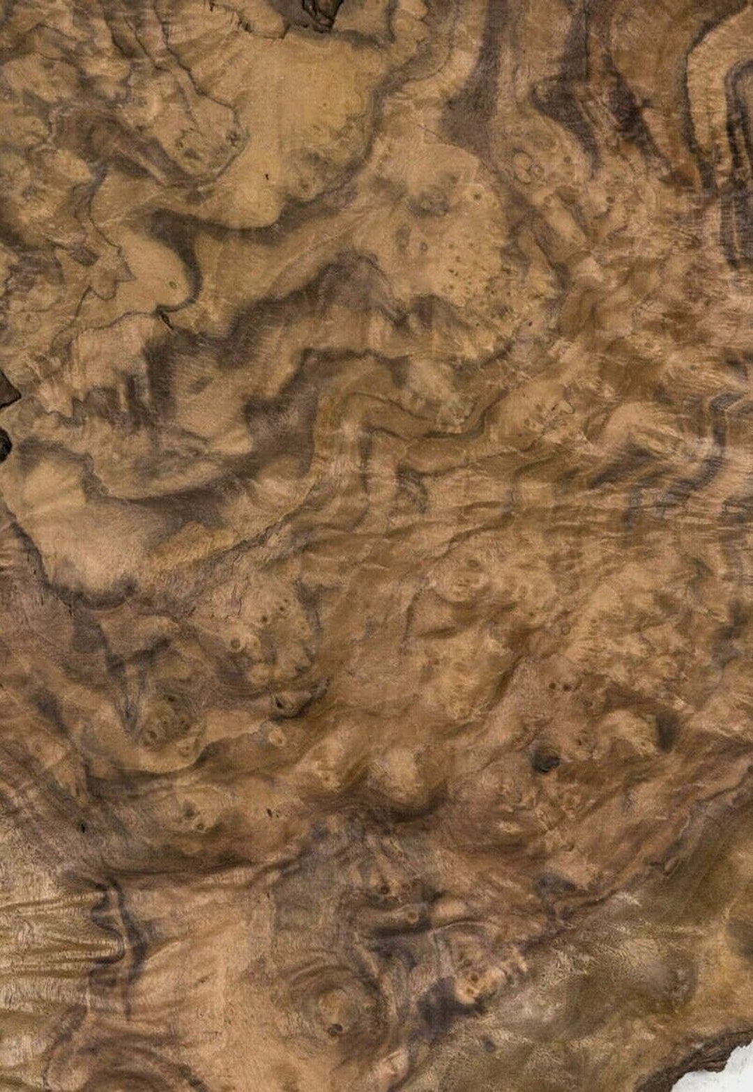 Walnut Burl Wood Veneer 11 X 16 Raw No Backing 1/42 Thickness AAA Grade
