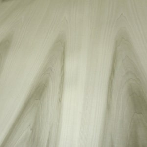 Poplar Natural wood veneer 24 x 24 with paper backer 1/40 thickness A grade image 6