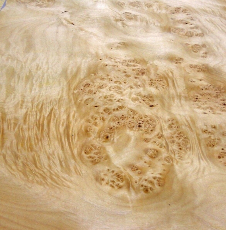 Maple Cluster Burl wood veneer 16 x 36 raw no Etsy