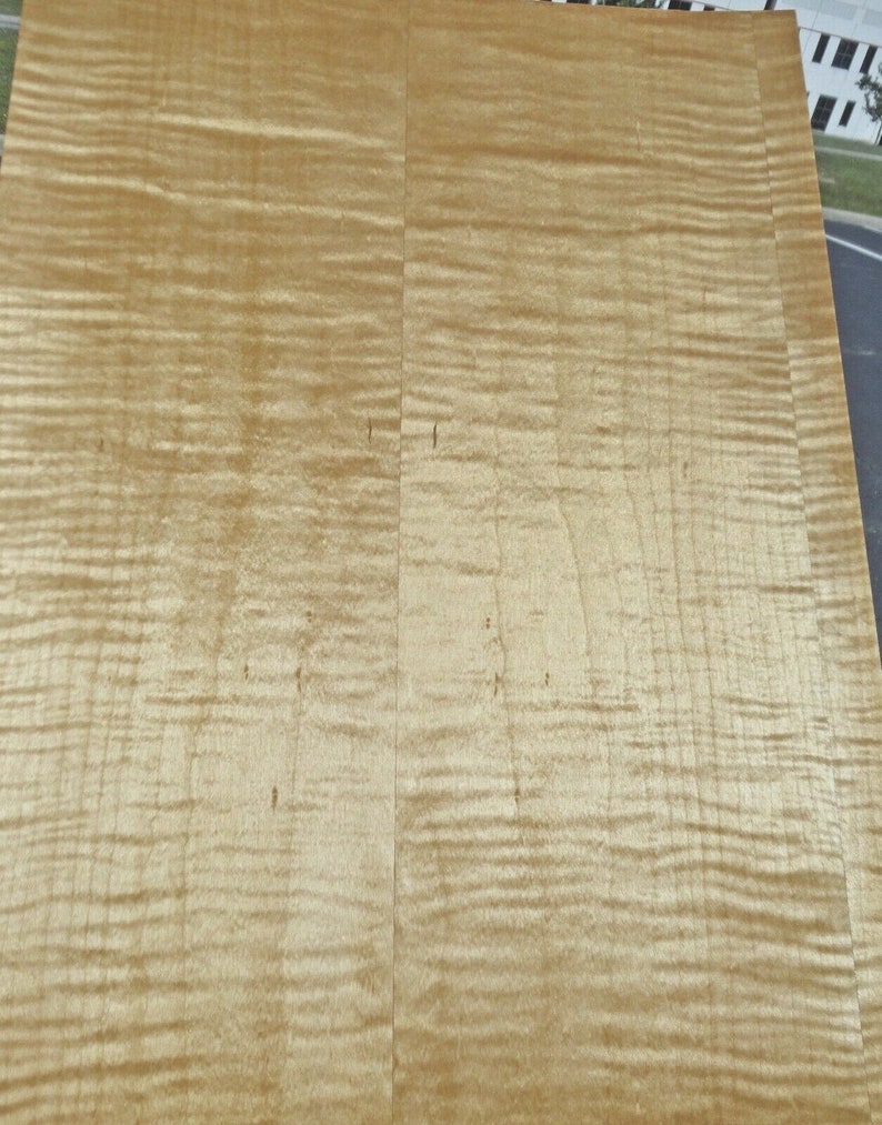 Curly Maple Figured Tiger Wood Veneer 24 X 96 With PSA Adhesive AAA