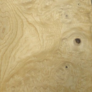 Burl White Ash wood veneer 6&quot; x 9&quot; raw no backing 1/42&quot; thickness sample size