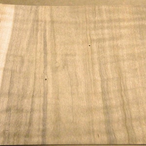 Maple Spalted Ambrosia Wormy Figured Fiddleback wood veneer 8&quot; x 6&quot; raw 1/42&quot;