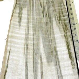 Maple Spalted Wormy Figured wood veneer 7&quot; x 120&quot; raw no backing 1/42&quot; thickness
