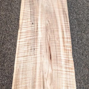 Ambrosia Spalted Maple Wormy Figured Fiddleback folheado de madeira 10" x 59" bruto 1/42"