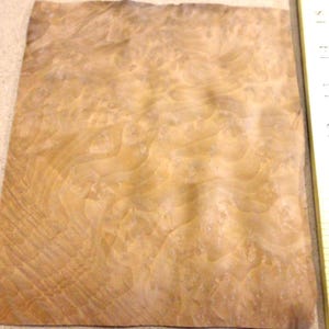 Madrone Burl wood veneer 6&quot; x 7&quot; with no backing (raw veneer) &quot;AA&quot; grade