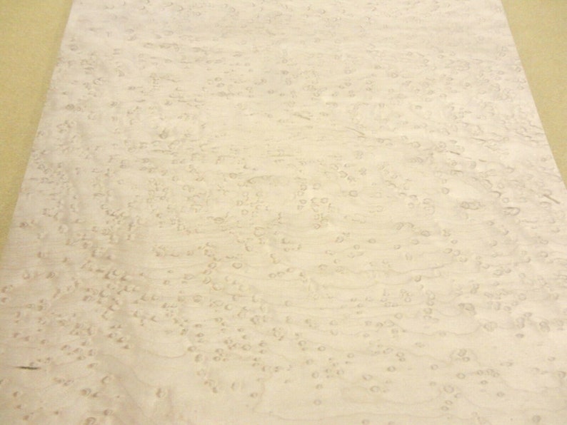 Birdseye Maple Aaa Grade Wood Veneer 24 X 11 With Etsy