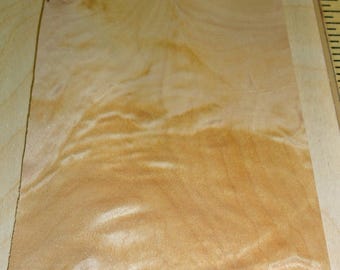 Mappa Burl wood veneer 4" x 9" with no backing raw veneer 1/42" thickness