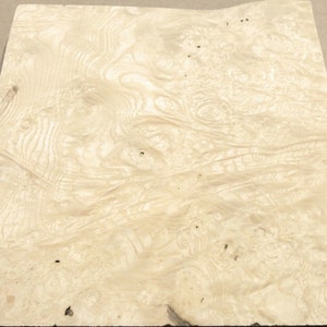 Ash Burl White wood veneer 12&quot; x 12&quot; with no backing raw veneer 1/42&quot; thickness