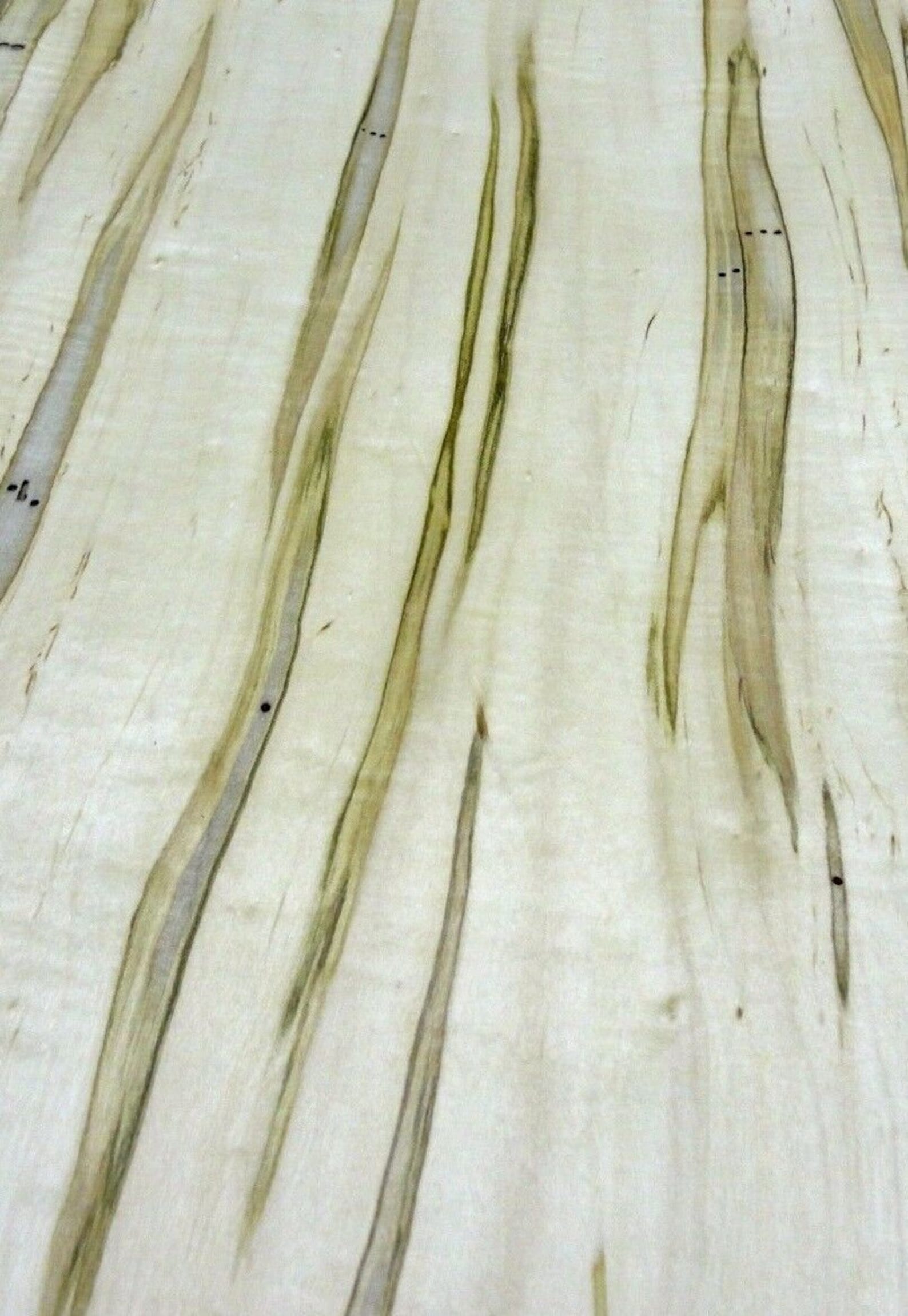 Spalted Maple Wormy Wood Veneer 24 X 30 X Etsy