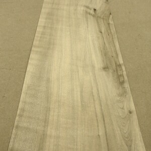 Maple Spalted Wormy Figured wood veneer 5&quot; x 49&quot; raw no backing 1/42&quot; thickness