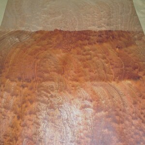 Sapele Pommele Figured Quilted wood veneer 14" x 58" raw no backing 1/42" thick 