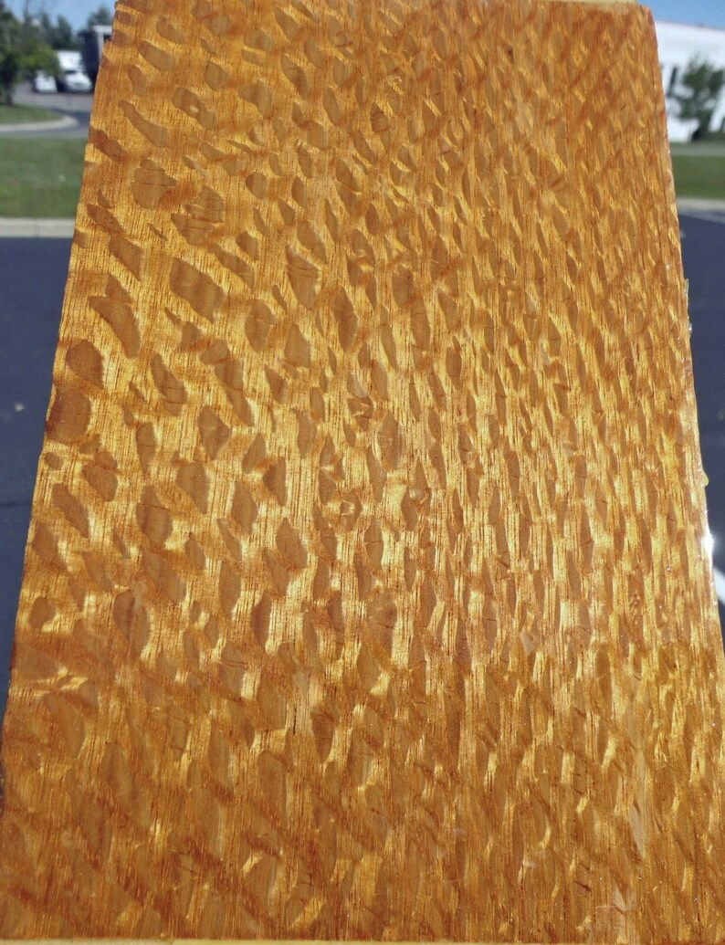 Australian Figure Lacewood Wood Veneer Sample Pack 14 Pieces Etsy