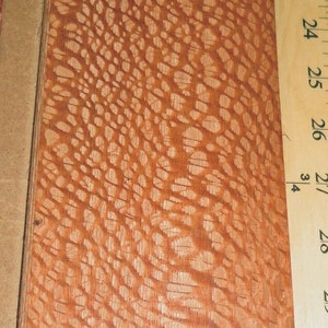 Lacewood Flake Pebble Australian wood veneer 4&quot; x 115&quot; raw no backing 1/42&quot; AAA