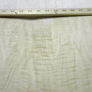 Curly Figured Maple wood veneer 24&quot; x 96&quot; with paper backer 1/40th&quot; thick &quot;AA&quot;