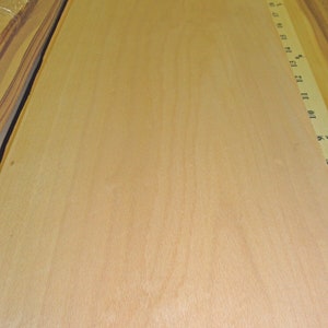 Steamed Beech European wood veneer 9&quot; x 112&quot; raw no backing 1/42&quot; thickness