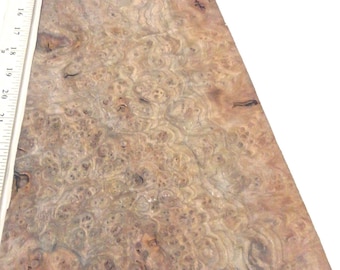 Elm Burl Carpathian wood veneer 9&quot; x 14.5&quot; raw no backing 1/42&quot; thickness AA