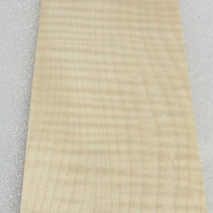 Ahorn Sycamore Curly Tiger Tigerfurnier 10 x 50 cm roh