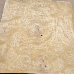 White Ash Burl wood veneer 10&quot; x 10&quot; with no backing raw veneer 1/42&quot; thick