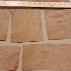 Madrone Burl wood veneer sample kit = 8 with no backing (raw veneer) &quot;AA&quot; grade